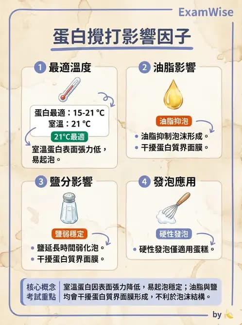 營養 - 動植物性食材製備原理 - AI 圖文解析預覽