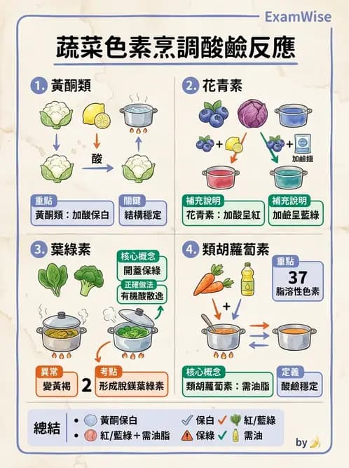 營養 - 動植物性食材製備原理 - AI 圖文解析預覽