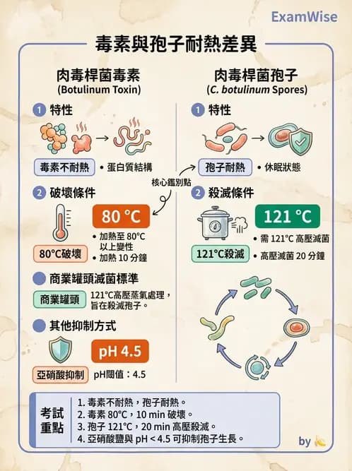 營養 - 食品安全衛生管理 - AI 圖文解析預覽