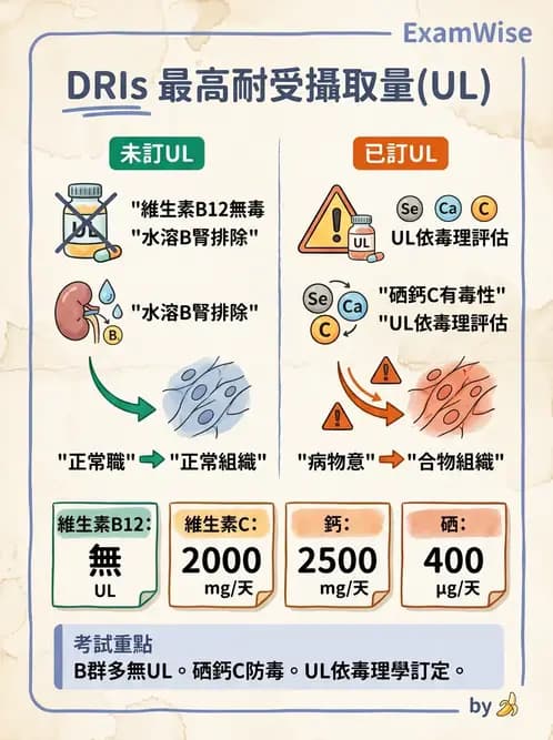 營養 - DRIs與飲食指南 - AI 圖文解析預覽