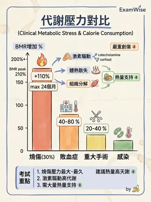 營養 - 燒燙傷與外傷重症營養 - AI 圖文解析預覽