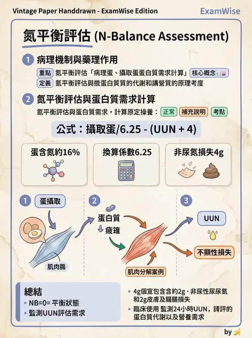 營養 - 營養評估與照護程序 - AI 圖文解析預覽