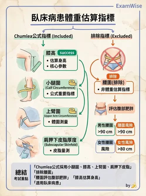 營養 - 體位評估 - AI 圖文解析預覽