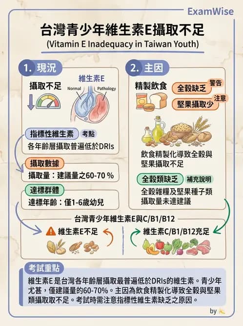 營養 - 國民營養健康狀況變遷調查 - AI 圖文解析預覽