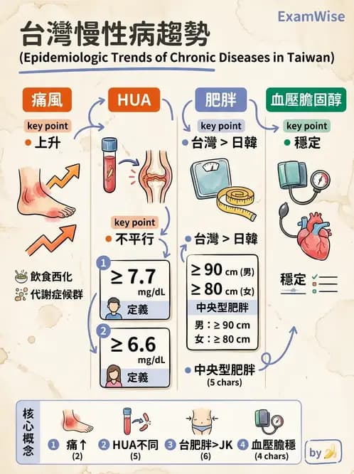 營養 - 國民營養現況與慢性病趨勢 - AI 圖文解析預覽