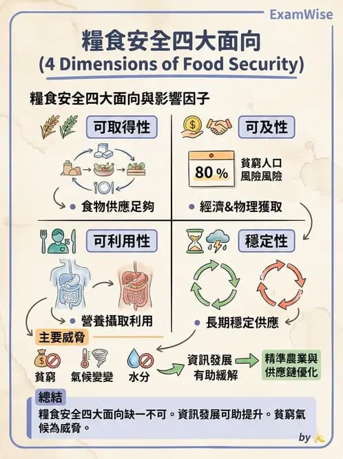 營養 - 國際營養議題與糧食安全 - AI 圖文解析預覽