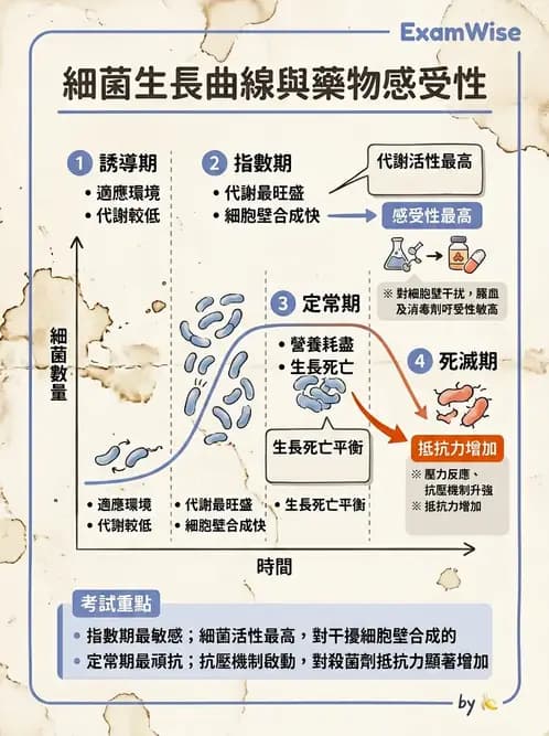 營養 - 食品腐敗微生物學 - AI 圖文解析預覽