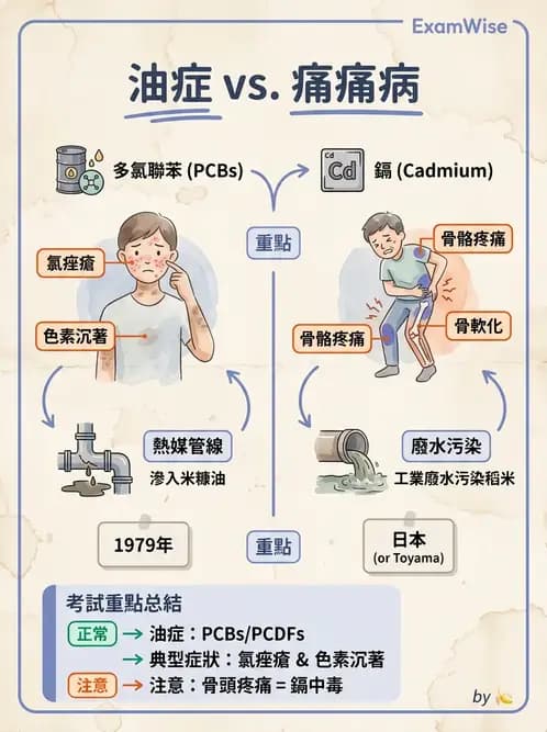 營養 - 化學性危害 - AI 圖文解析預覽