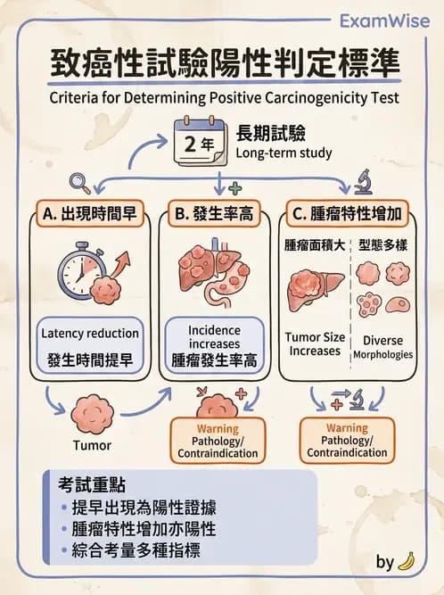 營養 - 食品安全性評估 - AI 圖文解析預覽