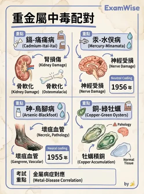營養 - 化學性危害 - AI 圖文解析預覽