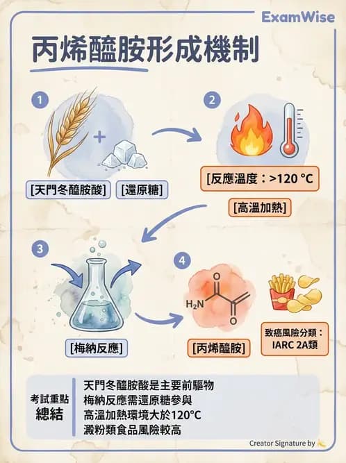 營養 - 化學性危害 - AI 圖文解析預覽