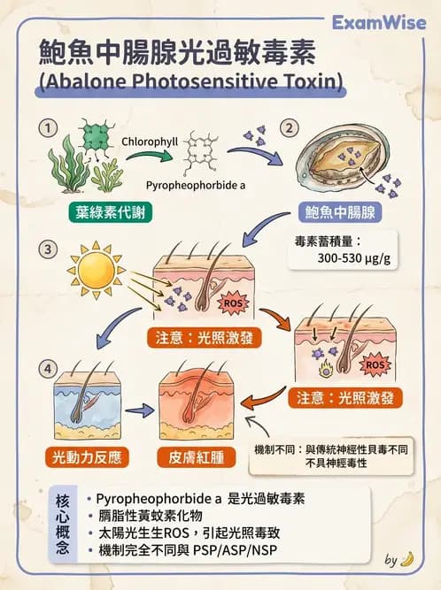 營養 - 天然毒素 - AI 圖文解析預覽