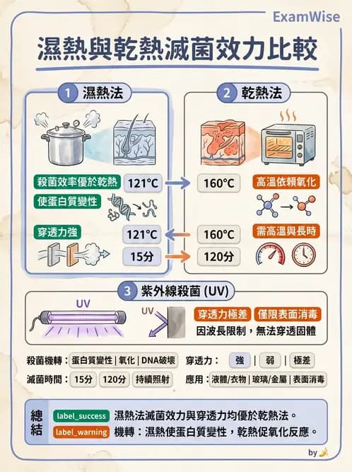 營養 - 食品用洗潔劑與殺菌消毒 - AI 圖文解析預覽