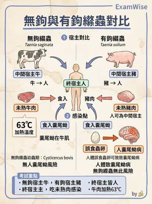 營養 - 生物性污染與寄生蟲 - AI 圖文解析預覽