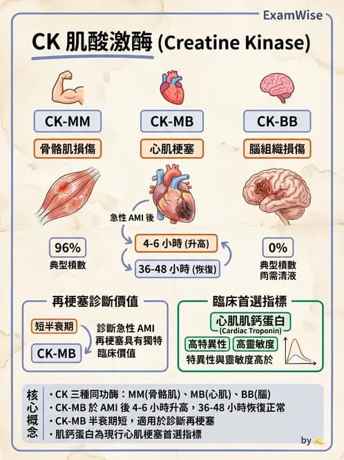 營養 - 酵素學基礎 - AI 圖文解析預覽
