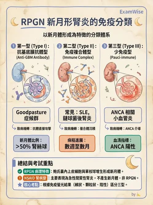 護理師 - 泌尿及男性生殖系統 - AI 圖文解析預覽