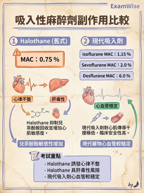 護理師 - 鎮痛、麻醉與神經科藥物 - AI 圖文解析預覽