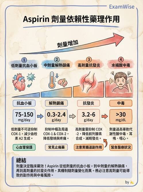護理師 - 呼吸道及胃腸道作用藥物 - AI 圖文解析預覽