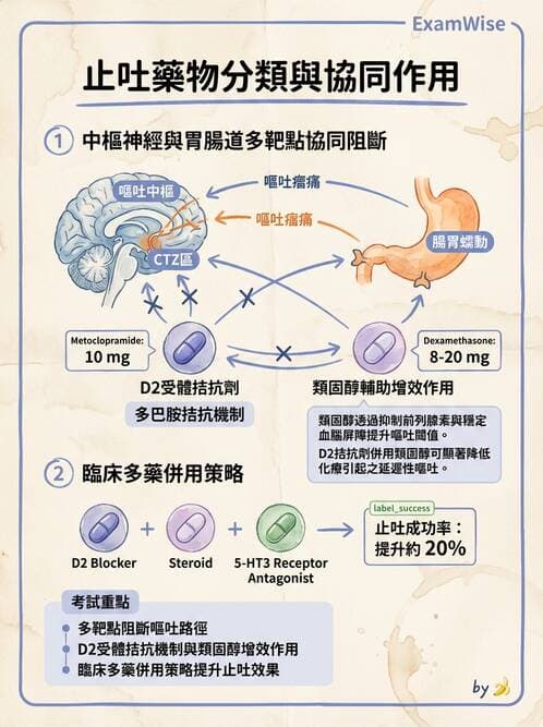 護理師 - 呼吸道及胃腸道作用藥物 - AI 圖文解析預覽