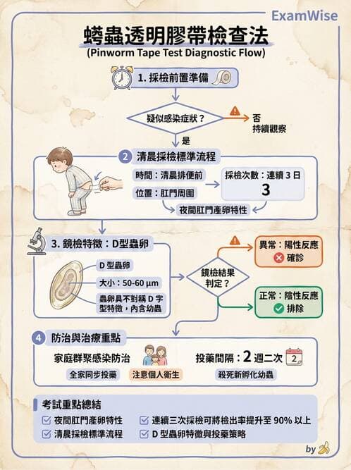 護理師 - 寄生蟲概論 - AI 圖文解析預覽