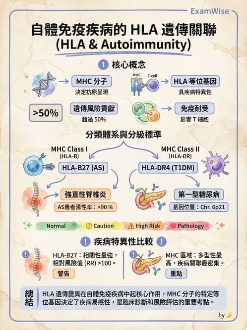護理師 - 後天性免疫、免疫調節 - AI 圖文解析預覽