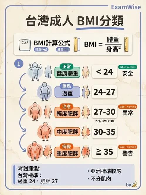 營養 - 體位評估 - AI 圖文解析預覽