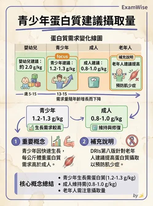 營養 - 兒童青少年與老年營養 - AI 圖文解析預覽