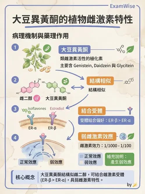 營養 - 當代營養學相關議題 - AI 圖文解析預覽