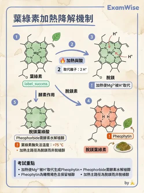 營養 - 當代營養學相關議題 - AI 圖文解析預覽