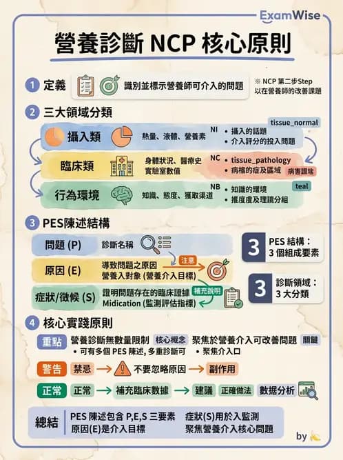 營養 - 營養評估與照護程序 - AI 圖文解析預覽