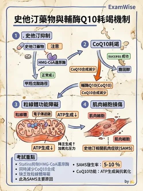 營養 - 藥物與營養素交互作用 - AI 圖文解析預覽