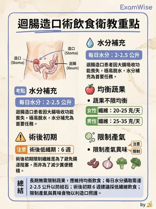 營養 - 腸胃道疾病 - AI 圖文解析預覽