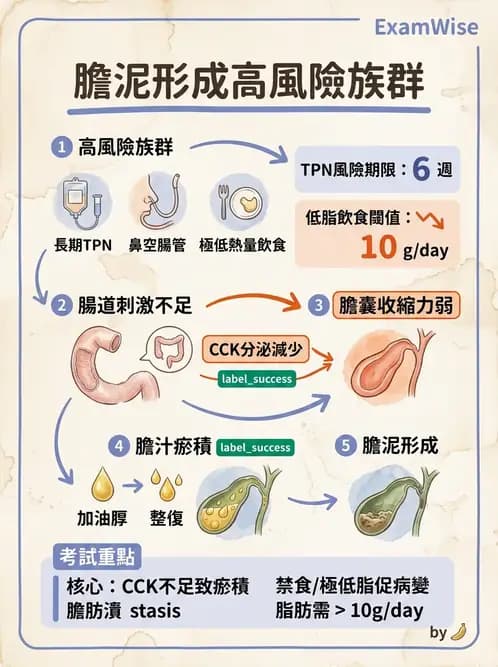 營養 - 肝膽疾病 - AI 圖文解析預覽