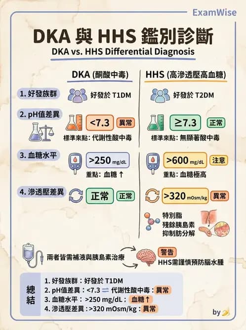 營養 - 糖尿病與代謝症候群 - AI 圖文解析預覽