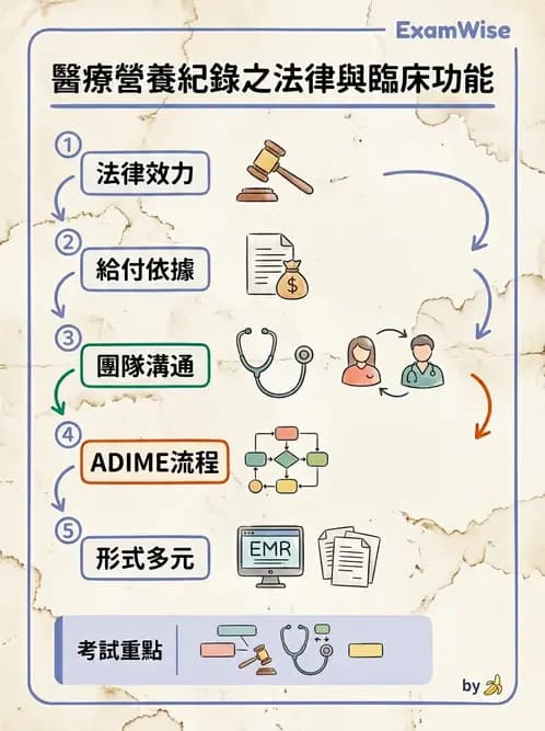 營養 - 營養評估與照護程序 - AI 圖文解析預覽