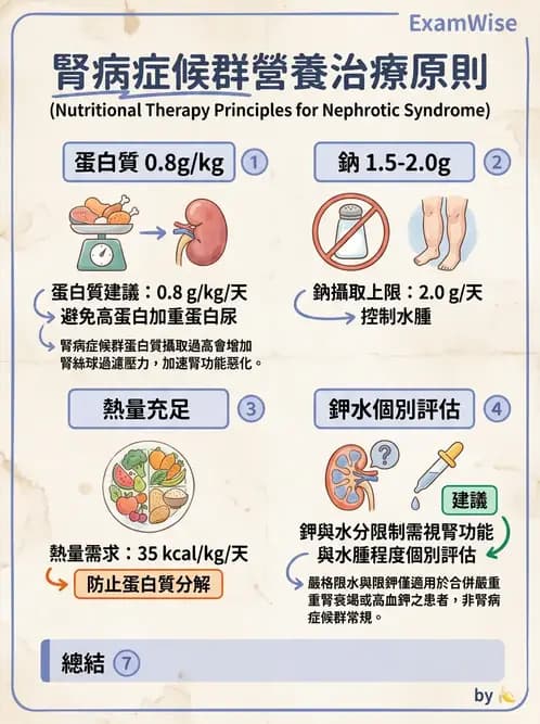 營養 - 腎臟疾病飲食治療 - AI 圖文解析預覽