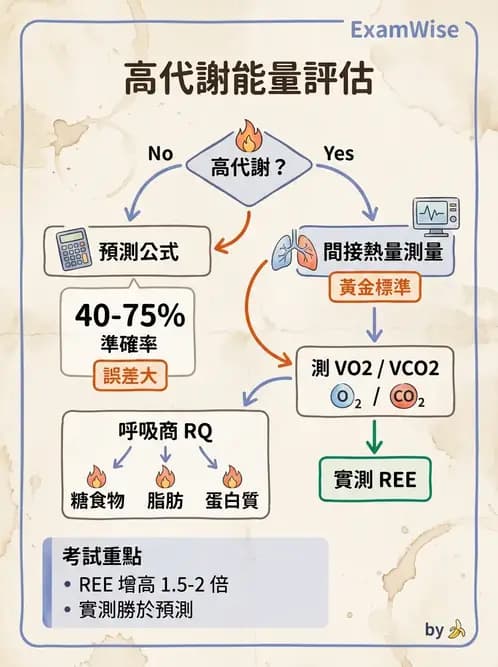 營養 - 重症一般營養照護 - AI 圖文解析預覽
