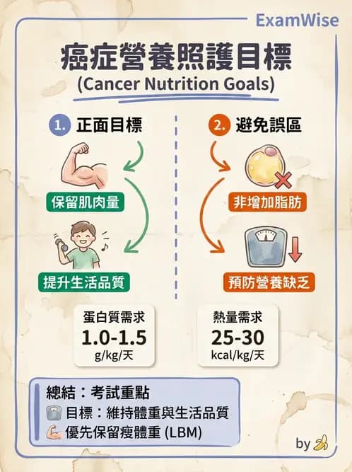 營養 - 癌症營養 - AI 圖文解析預覽