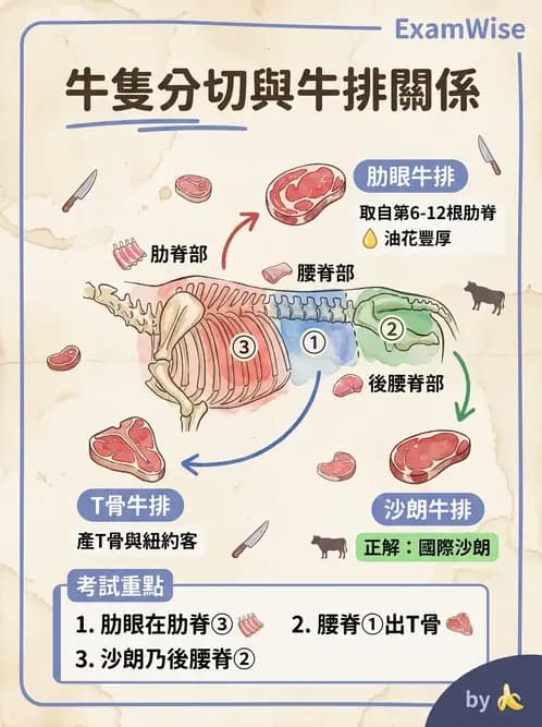 營養 - 動植物性食材製備原理 - AI 圖文解析預覽