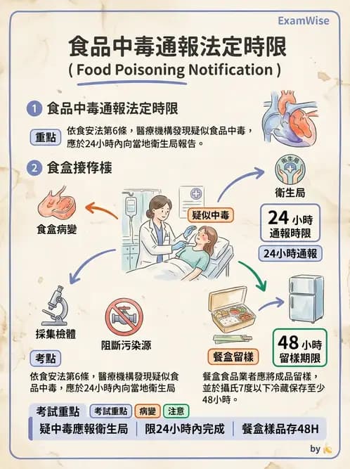 營養 - 食品安全衛生管理 - AI 圖文解析預覽