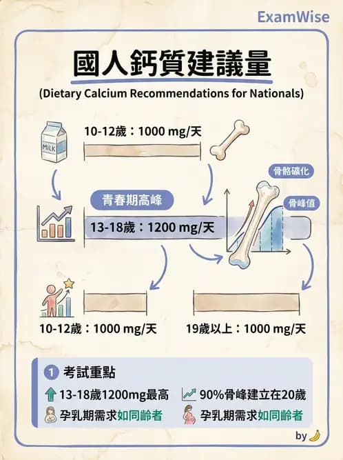 營養 - DRIs與飲食指南 - AI 圖文解析預覽