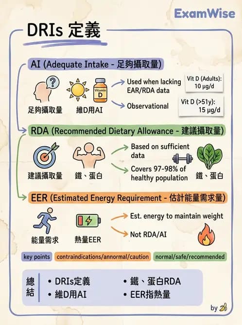 營養 - DRIs與飲食指南 - AI 圖文解析預覽