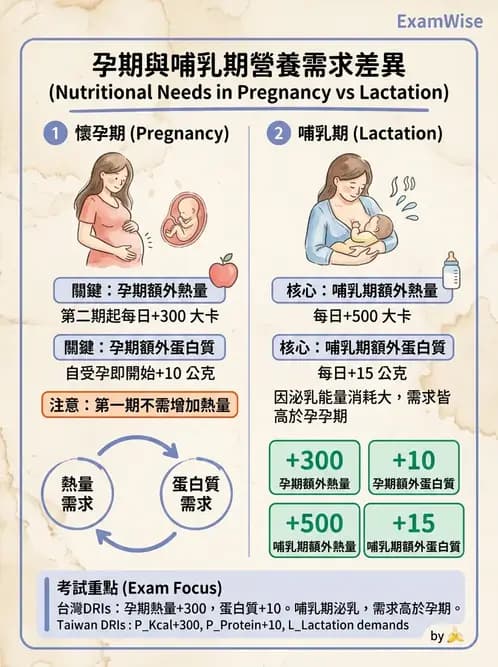 營養 - DRIs與飲食指南 - AI 圖文解析預覽