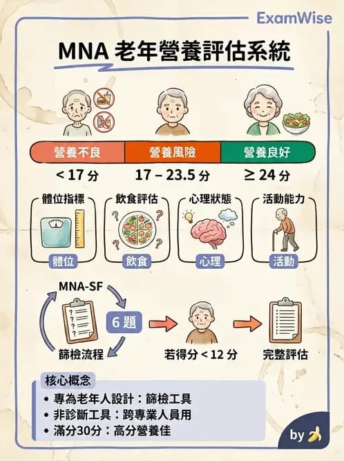 營養 - 營養篩檢與評估量表 - AI 圖文解析預覽