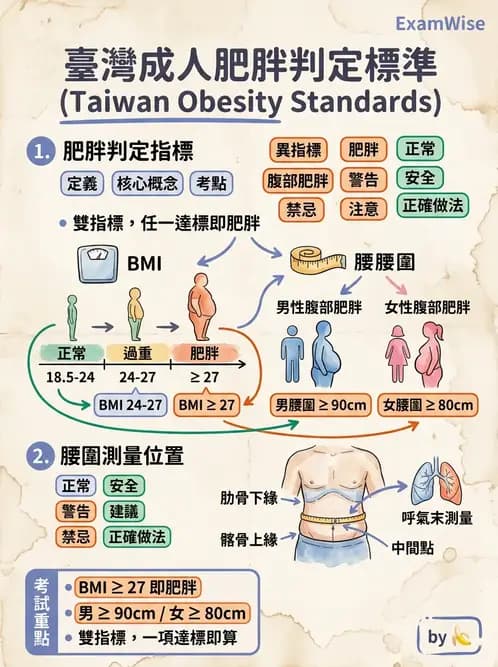 營養 - 體位評估 - AI 圖文解析預覽