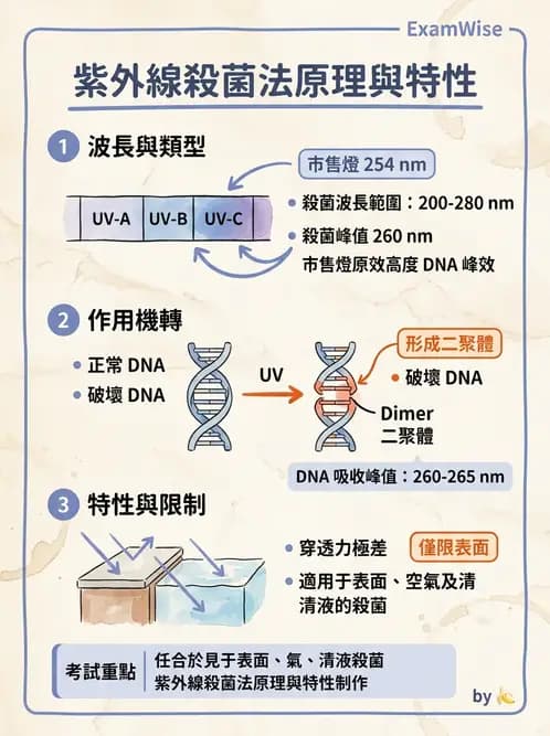 營養 - 食品用洗潔劑與殺菌消毒 - AI 圖文解析預覽