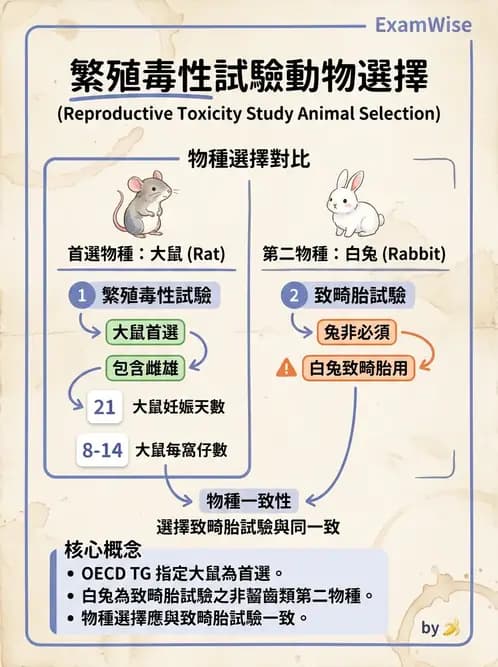 營養 - 食品安全性評估 - AI 圖文解析預覽