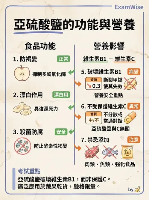 營養 - 食品添加物 - AI 圖文解析預覽