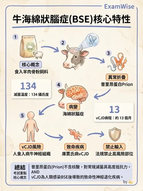 營養 - 生物性污染與寄生蟲 - AI 圖文解析預覽