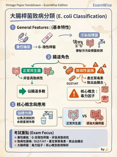 營養 - 食源性病原微生物 - AI 圖文解析預覽